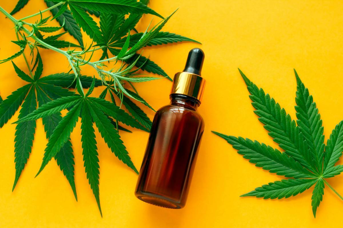 Cbd Comment Bien Choisir Les Produits Blog Conseil Sant