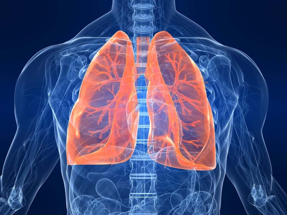 Comment Faire Pour Avoir Des Poumons En Bonne Santé