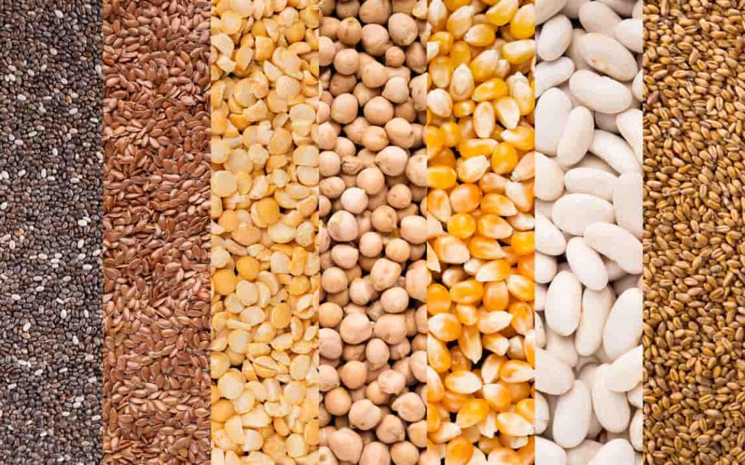 11 graines bonnes pour la santé : Notre sélection