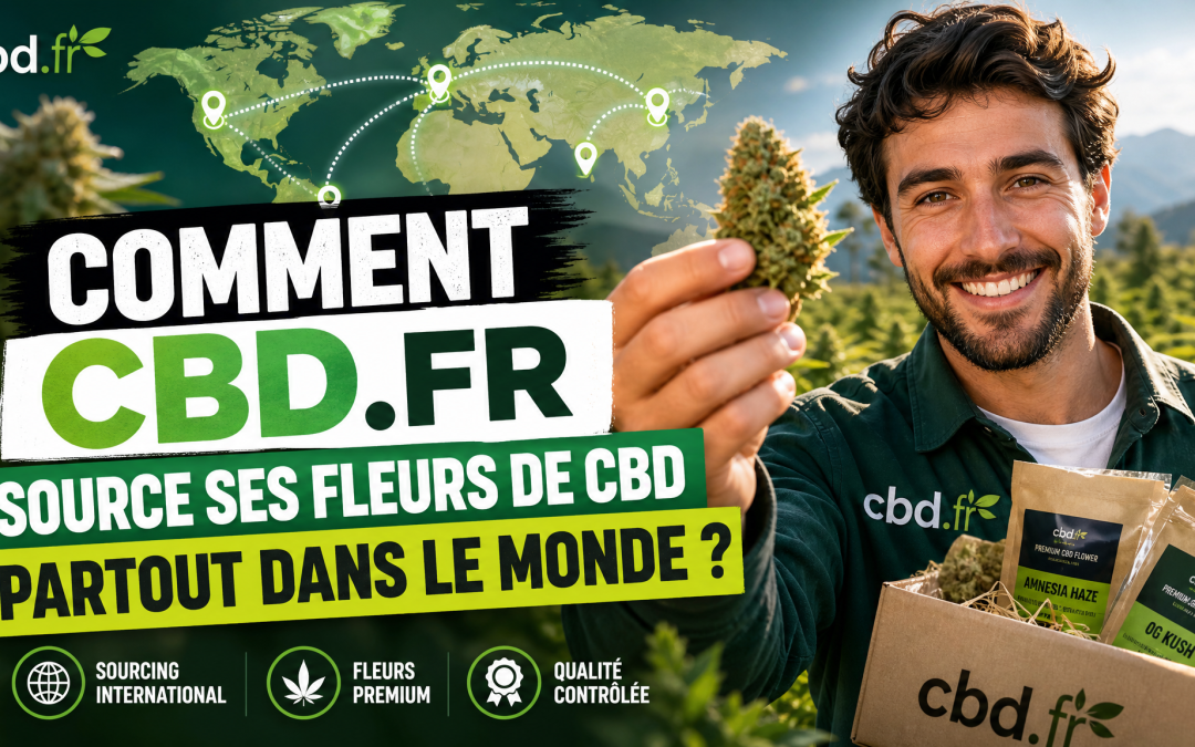 Comment cbd.fr source ses fleurs de CBD partout dans le monde ?